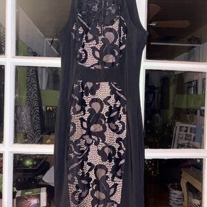 *Cache Elegant Black and Cream Lace Dress